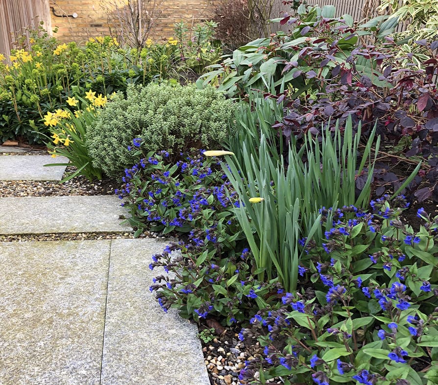 Garden Tidy Up