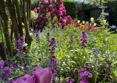 flowers in garden