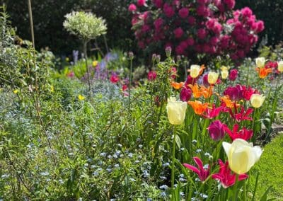 flowers in garden