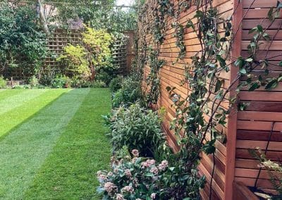 garden with privacy wall